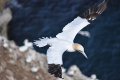 12BC3198-C955-437F-8D58-4836C6CB9F6E_1_105_c