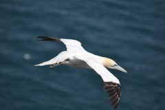 542E43B4-BD40-47D0-96DA-8589A98542DB_1_105_c