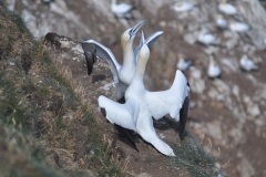 6F283C0D-4E07-473C-A7AC-519E48572992_1_105_c