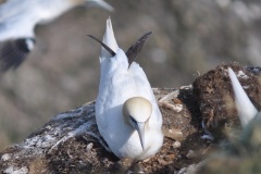 F2E1FE22-23A4-4AF6-8D6D-32DC74BD198B_1_105_c