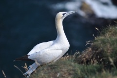 FFA7BA37-EF42-437A-A7C9-7E4D262A532E_1_105_c